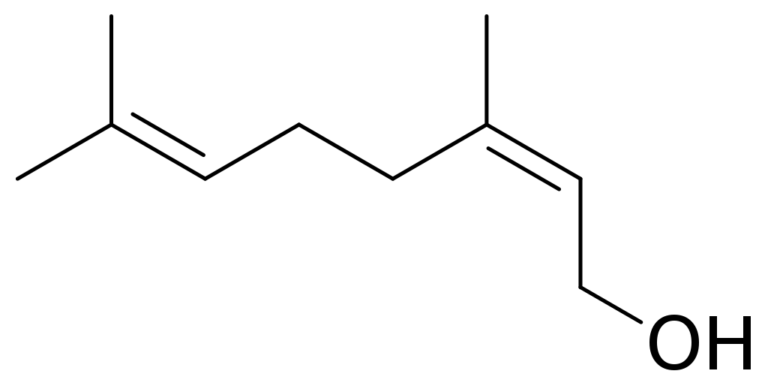 Cu L Es La Diferencia Entre El Geraniol Y El Nerol