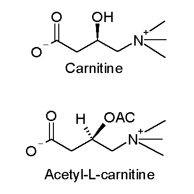 ¿Cuál es la diferencia entre Acetil-L-Carnitina y Propionil-L-Carnitina?
