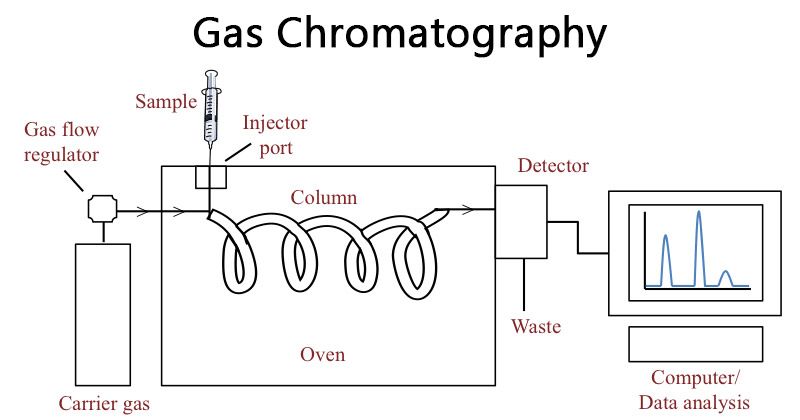 cromatograf-a-de-gases-definici-n-principio-partes-pasos-usos