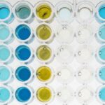 ¿Cuál es la diferencia entre los ensayos colorimétricos y fluorométricos?