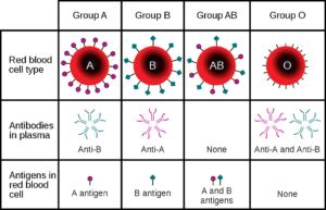 Diferencia entre el sistema de grupo sanguíneo ABO y Rh