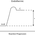 Diferencia entre reacciones endotérmicas y exotérmicas.