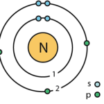 Diferencia entre nitrógeno y nitrato.