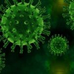 ¿Cuál es la diferencia entre el virus anfotrópico ecotrópico y el pantrópico?