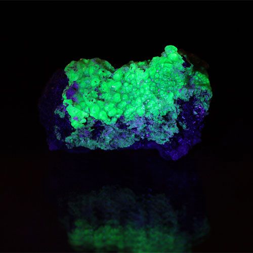 ¿En qué se diferencian la fluorescencia, la fosforescencia, la bioluminiscencia y la quimioluminiscencia?