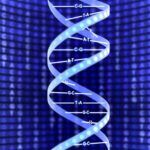 Estructura de Doble Hélice del ADN