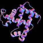 Estructura de Proteínas y Polipéptidos