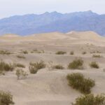 Descripción del Desierto-Descripción del Bioma Terrestre