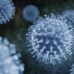 7 Datos Sobre Los Virus