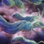 Relaciones entre Bacterias: Bacterias y Humanos