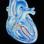 4 Pasos de la Conducción Cardíaca