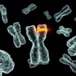 Tipos y Ejemplos de Mutaciones en el ADN