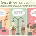 Ejemplos de la Hipótesis Nula