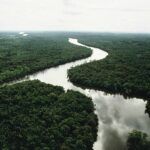 Biomas Terrestres-Selvas Tropicales