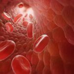 12 Datos Interesantes Sobre La Sangre