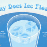 El hielo y la Densidad del Agua